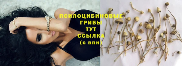 винт Арсеньев